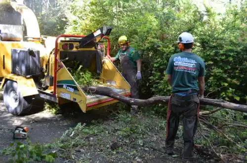 tree services Southgate